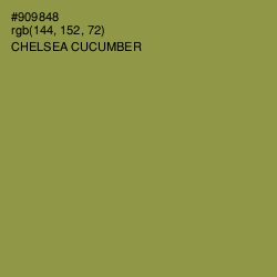 #909848 - Chelsea Cucumber Color Image